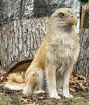 Click image for larger version

Name:	uZoo1.jpg
Views:	252
Size:	14.9 KB
ID:	940080