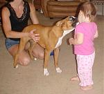 Click image for larger version

Name:	untitled1.jpg
Views:	236
Size:	37.4 KB
ID:	940231