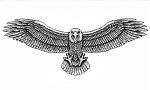 Click image for larger version

Name:	eagle tattoo.jpg
Views:	256
Size:	82.6 KB
ID:	940241