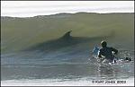 Click image for larger version

Name:	dolphin.jpg
Views:	319
Size:	15.6 KB
ID:	940263