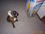 Click image for larger version

Name:	Alittlepissedafter.JPG
Views:	312
Size:	234.6 KB
ID:	940277