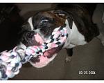 Click image for larger version

Name:	PICT0018.JPG
Views:	305
Size:	79.5 KB
ID:	940278