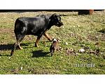 Click image for larger version

Name:	PICT0002.JPG
Views:	279
Size:	191.8 KB
ID:	940302