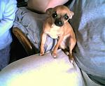 Click image for larger version

Name:	Roxy5.jpg
Views:	217
Size:	39.6 KB
ID:	940304