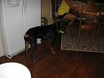 Click image for larger version

Name:	maddie 2.jpg
Views:	227
Size:	501.0 KB
ID:	940307