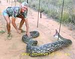 Click image for larger version

Name:	python.jpg
Views:	353
Size:	6.5 KB
ID:	940524