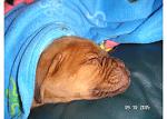 Click image for larger version

Name:	PICT0066.JPG
Views:	357
Size:	67.9 KB
ID:	940525