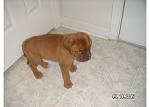 Click image for larger version

Name:	PICT0026.JPG
Views:	344
Size:	34.7 KB
ID:	940526