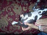 Click image for larger version

Name:	Picture 02900000.jpg
Views:	336
Size:	60.0 KB
ID:	940581