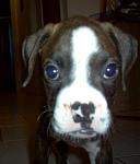 Click image for larger version

Name:	Picture 02600000.jpg
Views:	351
Size:	21.8 KB
ID:	940582