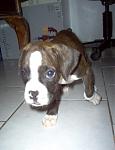 Click image for larger version

Name:	Picture 02700000.jpg
Views:	340
Size:	40.7 KB
ID:	940583