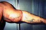 Click image for larger version

Name:	synthol06.jpg
Views:	267
Size:	12.2 KB
ID:	940614