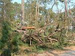 Click image for larger version

Name:	2005_0902Image0016.JPG
Views:	268
Size:	323.6 KB
ID:	940623