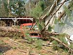 Click image for larger version

Name:	2005_0902Image0018.JPG
Views:	259
Size:	336.1 KB
ID:	940626