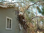 Click image for larger version

Name:	2005_0902Image0020.JPG
Views:	251
Size:	330.6 KB
ID:	940628