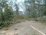 Click image for larger version

Name:	2005_0902Image0005.JPG
Views:	253
Size:	319.4 KB
ID:	940630