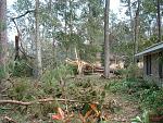 Click image for larger version

Name:	2005_0902Image0007.JPG
Views:	240
Size:	328.5 KB
ID:	940632