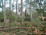Click image for larger version

Name:	2005_0902Image0008.JPG
Views:	238
Size:	325.9 KB
ID:	940633