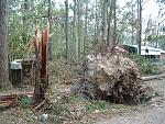 Click image for larger version

Name:	2005_0902Image0009.JPG
Views:	245
Size:	329.3 KB
ID:	940634