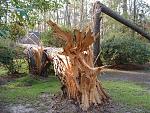 Click image for larger version

Name:	2005_0918Image0007.JPG
Views:	229
Size:	321.0 KB
ID:	940637