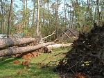 Click image for larger version

Name:	2005_0926Image0011.JPG
Views:	242
Size:	324.0 KB
ID:	940638