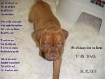 Click image for larger version

Name:	bernie1.jpg
Views:	212
Size:	31.3 KB
ID:	940642
