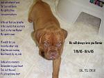 Click image for larger version

Name:	bernie1.jpg
Views:	215
Size:	44.2 KB
ID:	940643