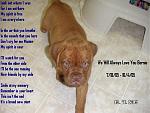 Click image for larger version

Name:	bernie2.jpg
Views:	213
Size:	45.3 KB
ID:	940644