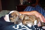 Click image for larger version

Name:	Picture 076.jpg
Views:	337
Size:	66.9 KB
ID:	940645