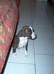Click image for larger version

Name:	Picture 03265444444.jpg
Views:	338
Size:	48.9 KB
ID:	940646