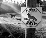 Click image for larger version

Name:	watchDog.jpg
Views:	286
Size:	61.7 KB
ID:	940700