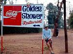 Click image for larger version

Name:	87golden-shower.jpg
Views:	399
Size:	17.7 KB
ID:	940730