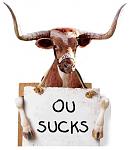 Click image for larger version

Name:	bevo_ou_sucks_local.jpg
Views:	240
Size:	21.9 KB
ID:	940735