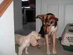 Click image for larger version

Name:	Sophie 008.jpg
Views:	328
Size:	62.4 KB
ID:	940789