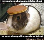 Click image for larger version

Name:	misc15bunny.jpg
Views:	258
Size:	41.8 KB
ID:	940791