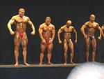 Click image for larger version

Name:	Dale-in-3-lineup.jpg
Views:	211
Size:	275.7 KB
ID:	940810