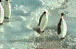 Click image for larger version

Name:	455798.gif
Views:	351
Size:	414.3 KB
ID:	941189