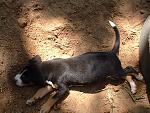 Click image for larger version

Name:	DSCF0039.JPG
Views:	297
Size:	128.2 KB
ID:	941247