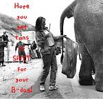 Click image for larger version

Name:	Bday.jpg
Views:	273
Size:	26.6 KB
ID:	943382