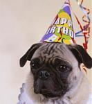 Click image for larger version

Name:	happy-birthday.jpg
Views:	267
Size:	17.1 KB
ID:	943383
