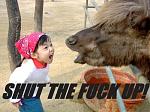 Click image for larger version

Name:	kkkkkk.jpg
Views:	341
Size:	52.6 KB
ID:	943386