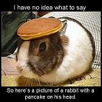 Click image for larger version

Name:	8139206llt9.jpg
Views:	292
Size:	25.8 KB
ID:	943675
