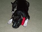 Click image for larger version

Name:	camerapix 002.jpg
Views:	252
Size:	384.0 KB
ID:	943756