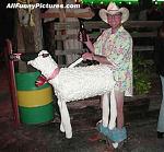 Click image for larger version

Name:	sheepguy.jpg
Views:	197
Size:	26.1 KB
ID:	943786