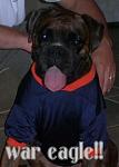 Click image for larger version

Name:	Tyson-War Eagle.jpg
Views:	332
Size:	13.3 KB
ID:	943788
