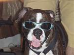 Click image for larger version

Name:	Denise's Pictures 063.jpg
Views:	307
Size:	29.6 KB
ID:	943791