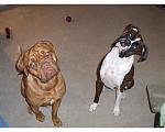 Click image for larger version

Name:	DSCF0197.JPG
Views:	199
Size:	104.1 KB
ID:	943795