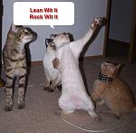 Click image for larger version

Name:	cats.jpg
Views:	212
Size:	30.2 KB
ID:	943876