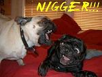 Click image for larger version

Name:	nigger.jpg
Views:	333
Size:	18.8 KB
ID:	943891