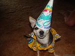 Click image for larger version

Name:	birthday dog.jpg
Views:	258
Size:	31.2 KB
ID:	943926